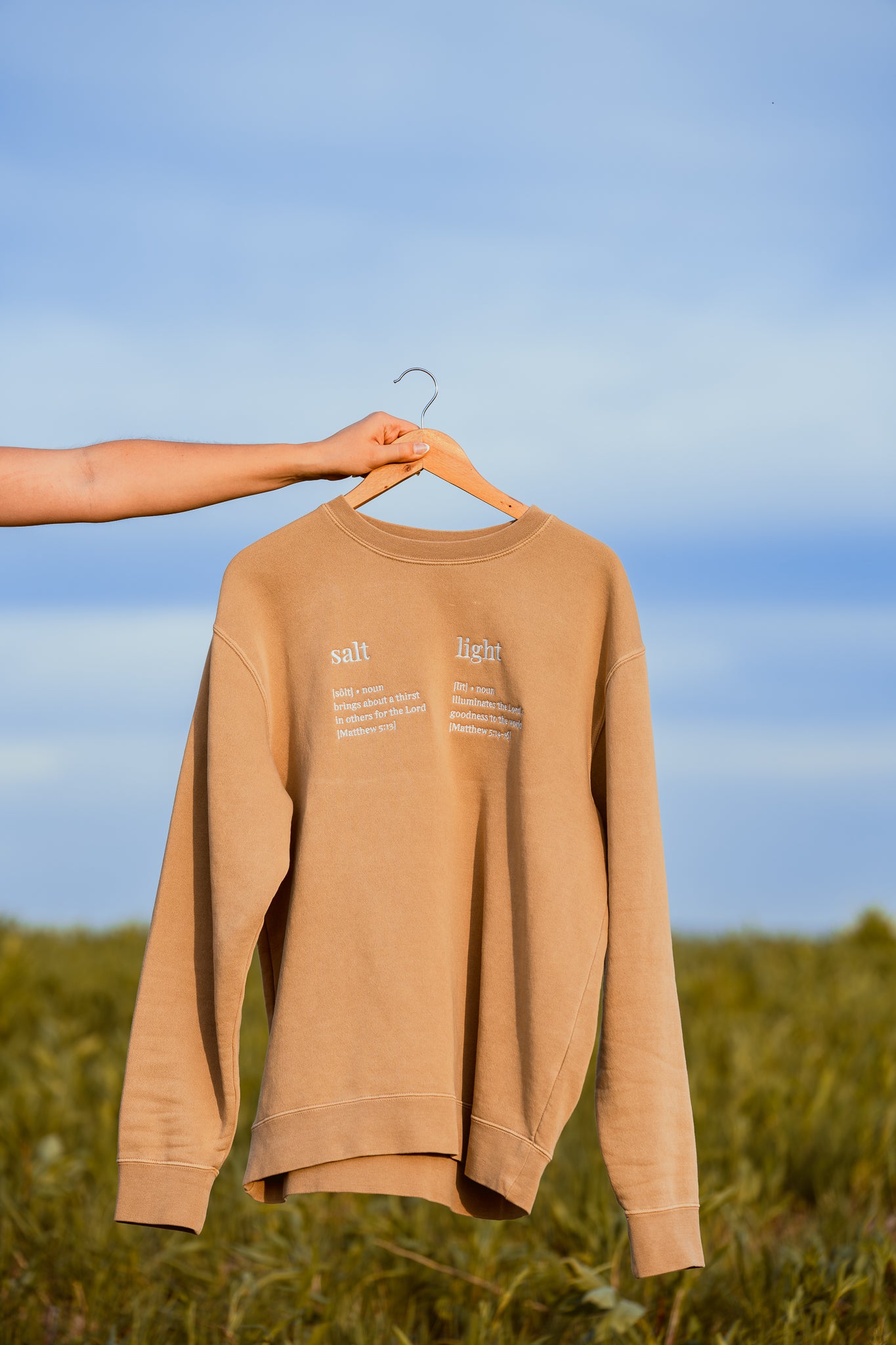 salt & light crewneck